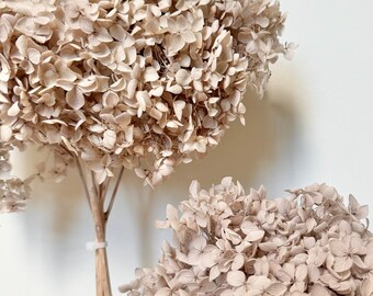 GRANDE tête - Hortensias stabilisés | Gruau gris | Motif floral de fleurs séchées | Composition naturelle | Mariage DIY