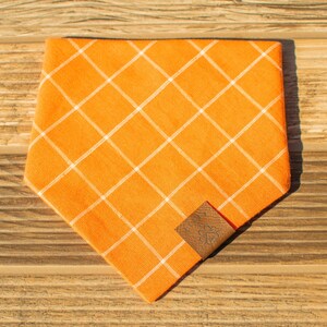 May include: Orange and white checkered dog bandana with a brown leather tag that says "Pawsitive"