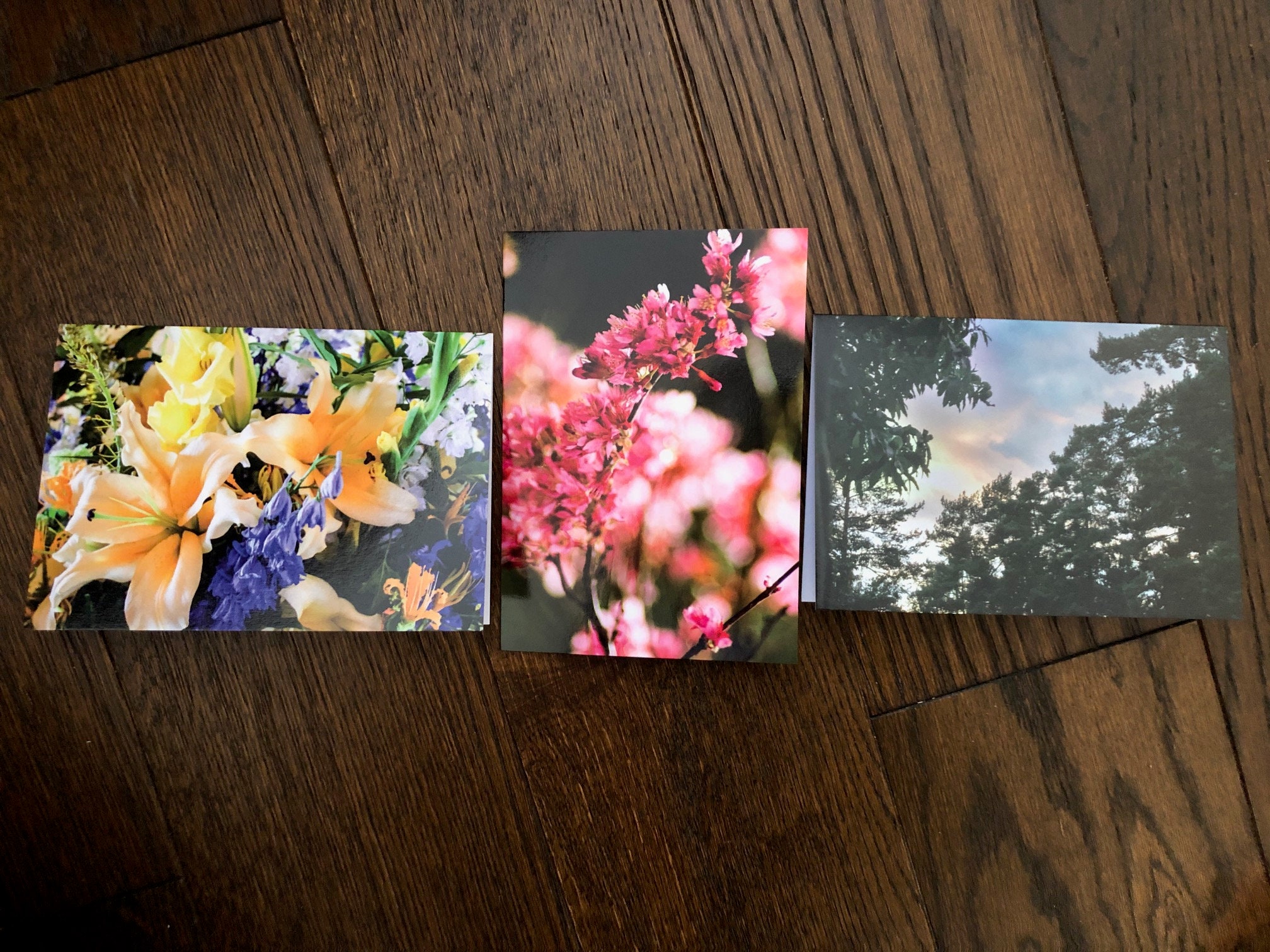 3 notelets 6x4 blank greeting cards Etsy