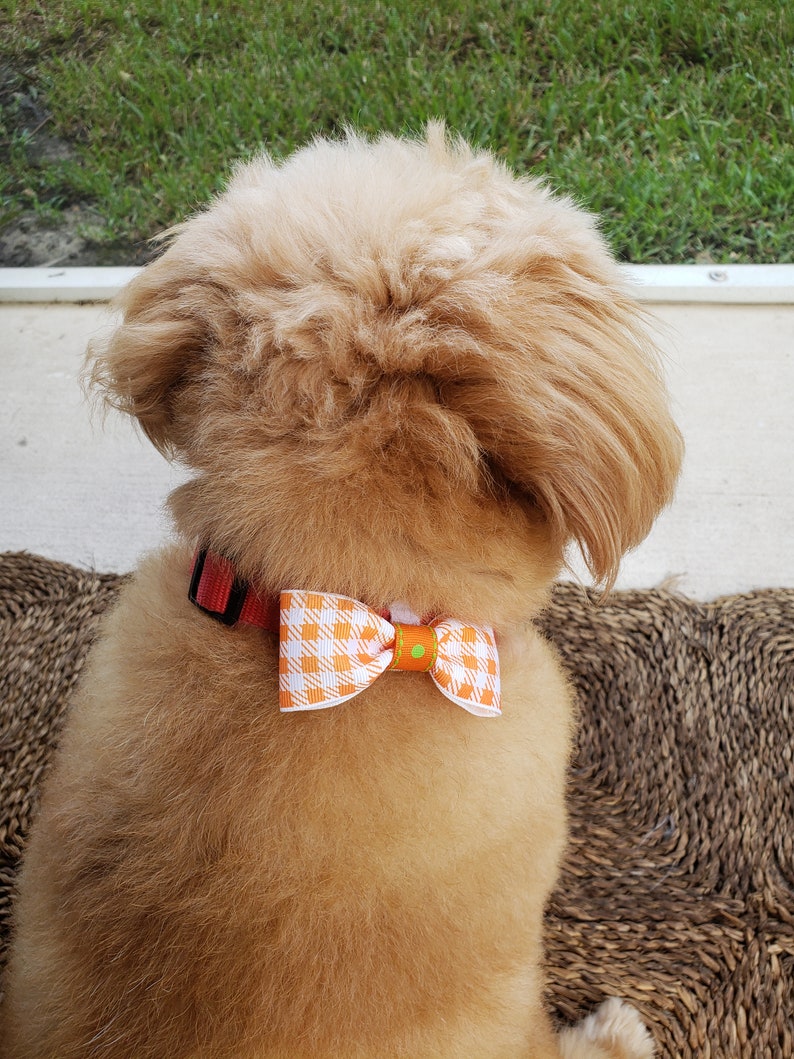 Pet Birthday Animal Collar Bows Dog Accessories Dr Seuss Pet Bows Medium Dog Bow Tie Pet Gift Collar Bows Medium Size Dog