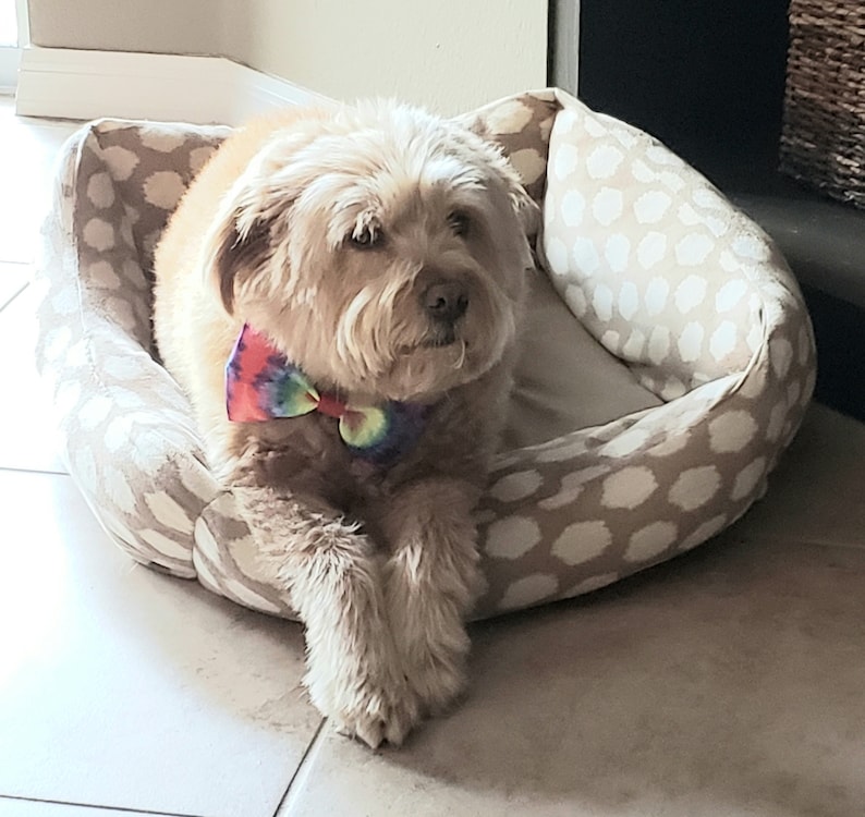 Pet Bows Dog Bow Tie Animal Collar Bows Lemon Print Dog Accessories Pet Birthday Large Size Dog Pet Gift Collar Bows