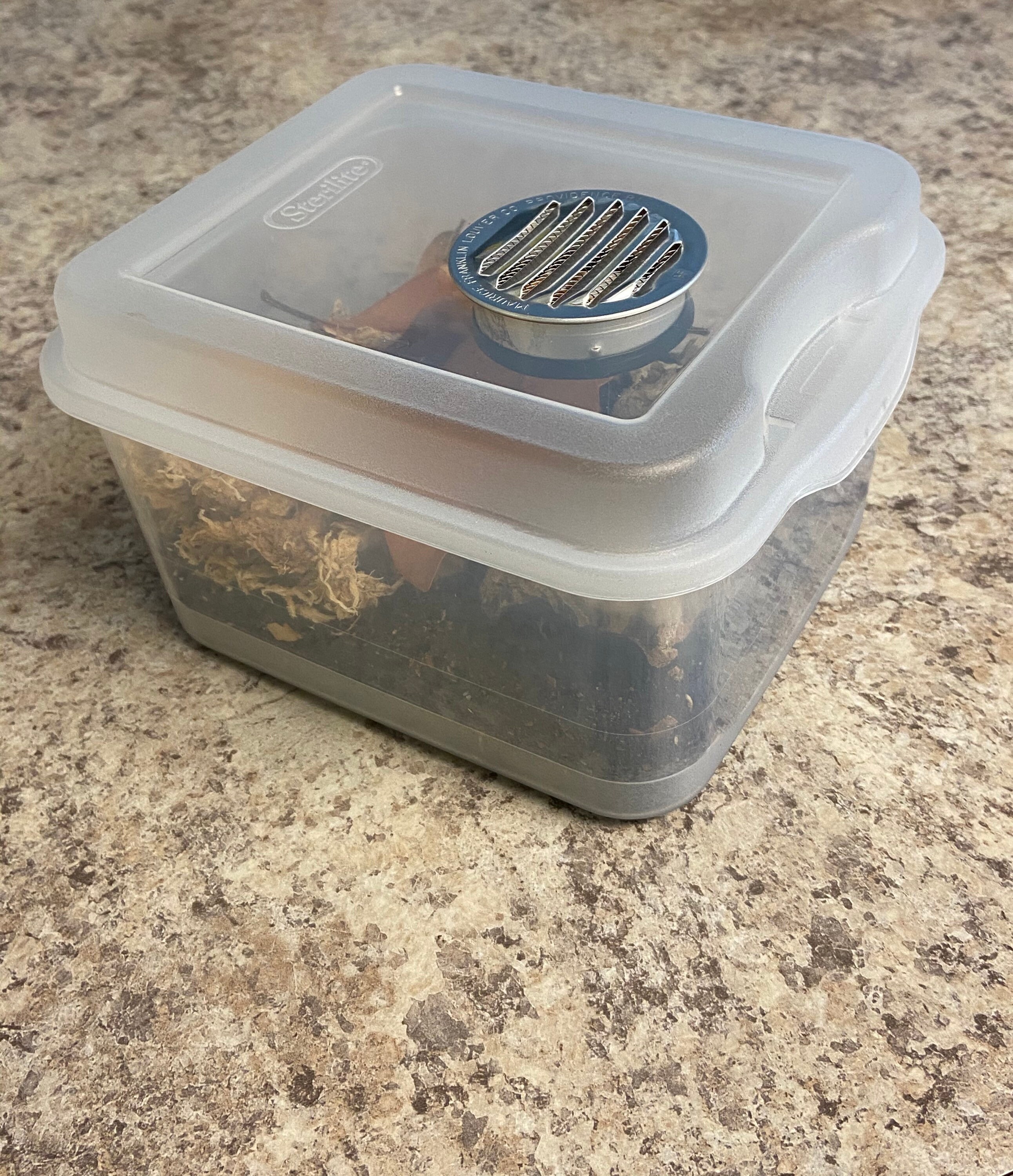 Isopods starter Kit!!