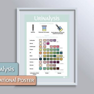 Póster educativo de análisis de orina