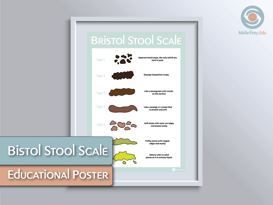 Bristol Stool Scale Educational Poster - Etsy