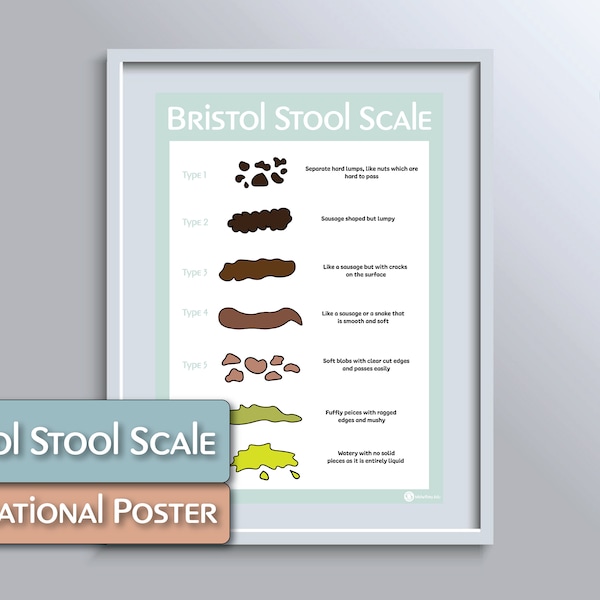 Bristol Stool Chart - Etsy