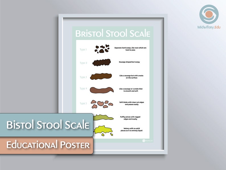 Bristol Stool Scale Educational Poster - Etsy