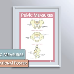 Pelvic Measures Educational Poster
