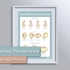 Describing Position Educational Position