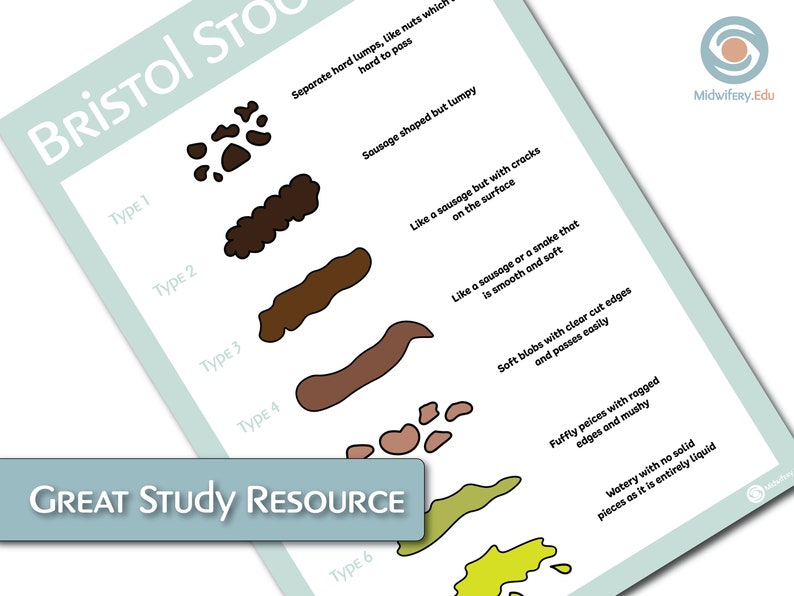 Bristol Stool Scale Educational Poster - Etsy