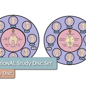 Juego de discos de estudio posicional fetal/fetal y de nalgas
