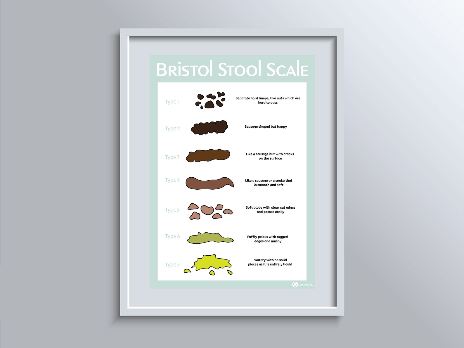 Bristol Stool Scale Educational Poster - Etsy
