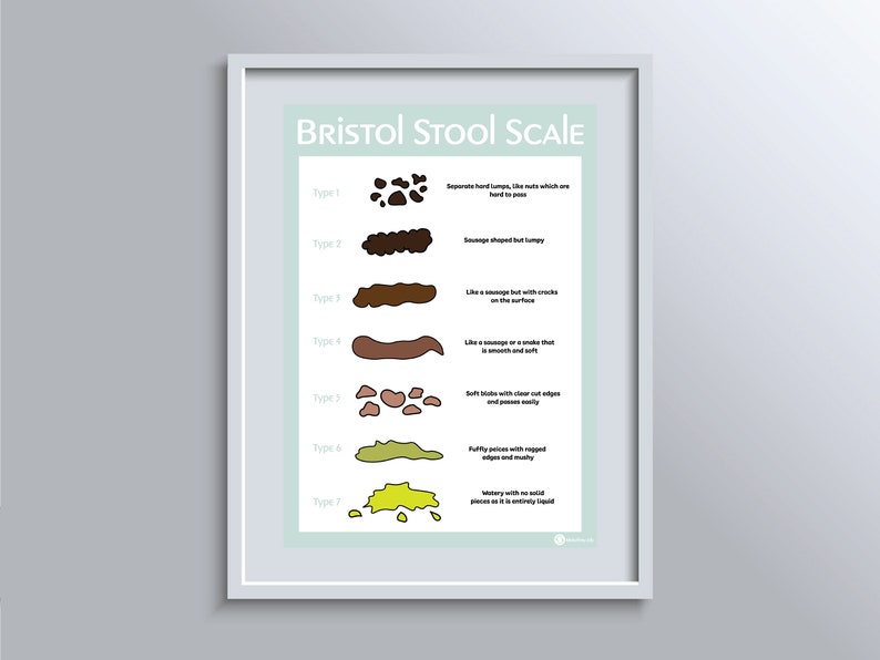 Bristol Stool Scale Educational Poster - Etsy