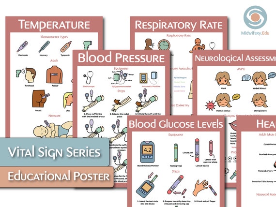 Vital Signs Series Educational Posters Etsy