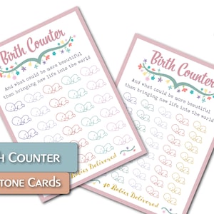 Midwifery Birth Counter