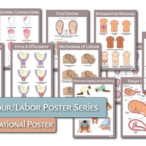 Pacchetto di poster sull'educazione al lavoro / lavoro