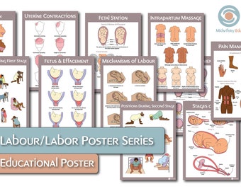 Labour/Labor Education Poster Bundle