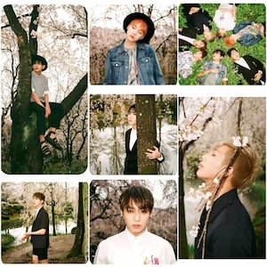 Servizio fotografico di fiori BTS, collezione BTS, merchandising del gruppo BTS, foto BTS OT7, Bangtan boys, merchandising dell'esercito, cartoline fotografiche BTS