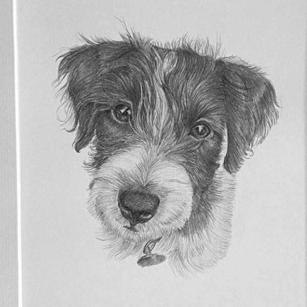 Personalised Framed A4 Pet Portrait (Graphite- Hand Drawn)