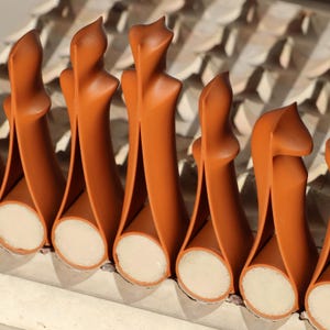 Op de afbeelding: Close-up van verschillende oranje-bruine architecturale elementen met een uniek, gestileerd ontwerp. Elk element heeft een afgeronde basis met een wit interieur en een slank, gebogen bovendeel. De elementen zijn in een rij gerangschikt.