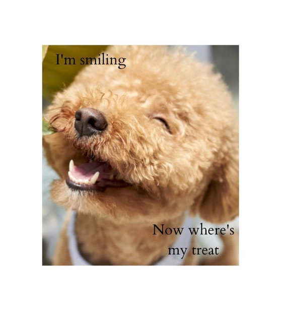 Cute Dog Sign Funny Vintage Dog Sign Vertical Aluminum Pet Etsy