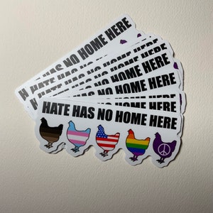 HATE HAS NO HOME HERE USA Resist Racism Vinyl Decal Sticker A