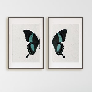 Minimalist Wall Art | Emerald Peacock Swallowtail Print Set | Butterfly Wall Art Digital | Butterfly Art Print | Butterfly Print Download