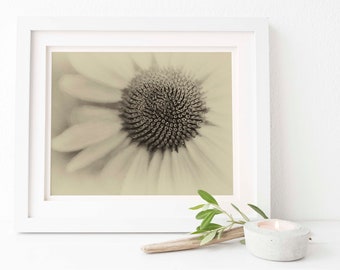 Echinacea Wall Art | Echinacea Purple Coneflower Antique Style | Digital Download | Sepia | Sepia | Shabby Chic Wall Art | able