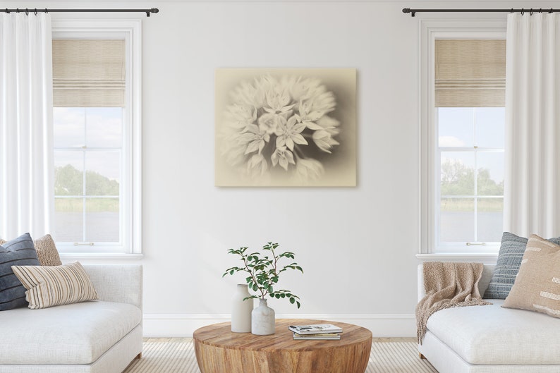 Graceful Allium Antique Style Antique Style Floral Art Sepia Print Allium Art Print Gicl\u00e9e Art Print Allium Wall Art