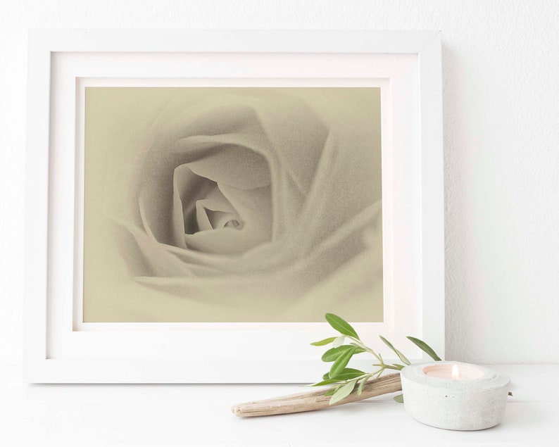Gicl\u00e9e Fine Art Print Sepia Rose Sepia Floral Wall Art Sepia Rose Print Yellow Rose Antique Style Sepia Rose Rose