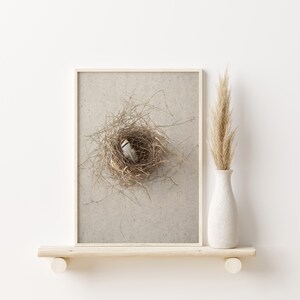 Feather Print Boho | Birds Nest with Feather #4 in Color | Digital | Farmhouse | Minimalist | Rustic | Bird Nest Art | Feather Art Print