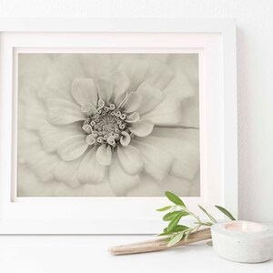 Sepia White Bridal Zinnia | Antique Style | Digital Download | Sepia Photography | Zinnia Art | Sepia | Sepia | Farmhouse Wall Art