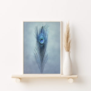 Peacock Feather Printable | Peacock Feather Art | Feather Wall Art | Digital Download | Peacock | Peacock Feather Fine Art | Feather Art