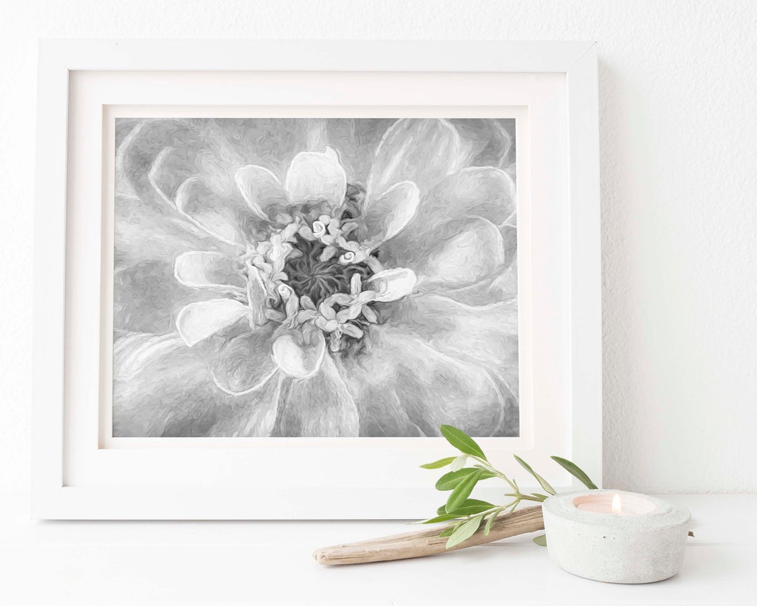 Pintura Zinnia en blanco y negro / Peach Zinnia Wall Art / Descarga