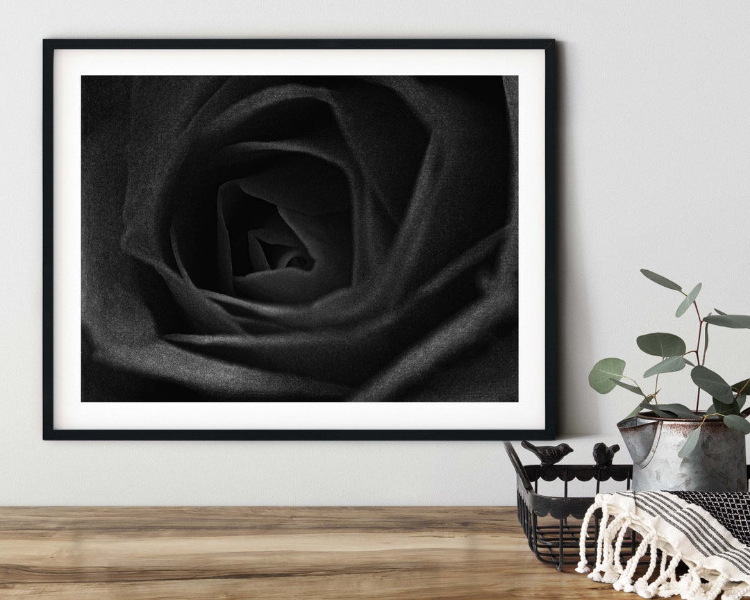 Black Rose Art Black Rose Wall Art Digital Download Black Rose Dark