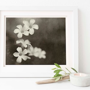 Purple Oxalis Shamrock Blooms | Digital Download | Shamrock Flower | Shamrock Bloom | Farmhouse | Boho | Cottage Wall Art