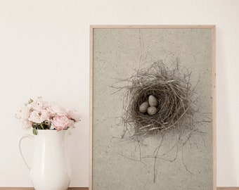 Minimalist Ravens Egg in Bird Nest Print in Sepia | Farmhouse Chic Wall Art | Kitchen Wall Art | Country Cottage Chic Art Print | Boho Art