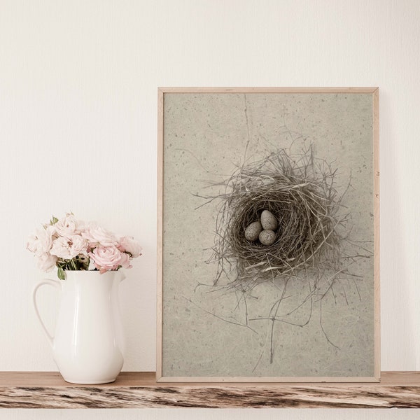 Minimalist Ravens Egg in Bird Nest Print in Sepia | Farmhouse Chic Wall Art | Kitchen Wall Art | Country Cottage Chic Art Print | Boho Art