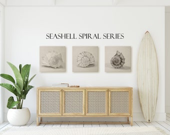 Beach Wall Art | Minimalist Seashell Spiral Series Set of 3 in Sepia | Seashell Prints | Beach Decor | Seashell Print Set | Seashell Art