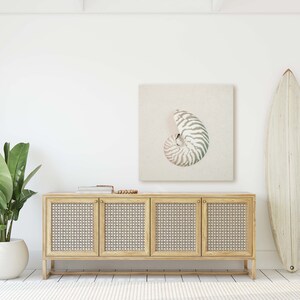 Beach Wall Art | Minimalist Seashell | Nautilus Shell Exterior | Seashell Print | Beach Decor | Fibonacci Spiral Art | Seashell Art Set