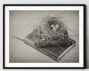 Los pájaros anidan en libros vintage en Vintage Sepia / Farmhouse / Rustic / Bird Nest Wall Art / Lodge Wall Art / Thoreau Book / Bird Nest Wall Art