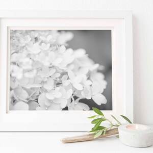 Black and White Hydrangea Art | Hydrangea #5 Wall Art | Digital Download | Hydrangea | Floral Wall Art | Floral | Farmhouse