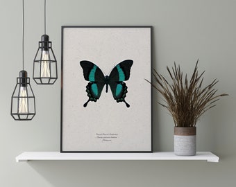 Minimalist Wall Art | Emerald Peacock Swallowtail Print | Butterfly Wall Art Digital | Butterfly Art Print | Butterfly Print Download