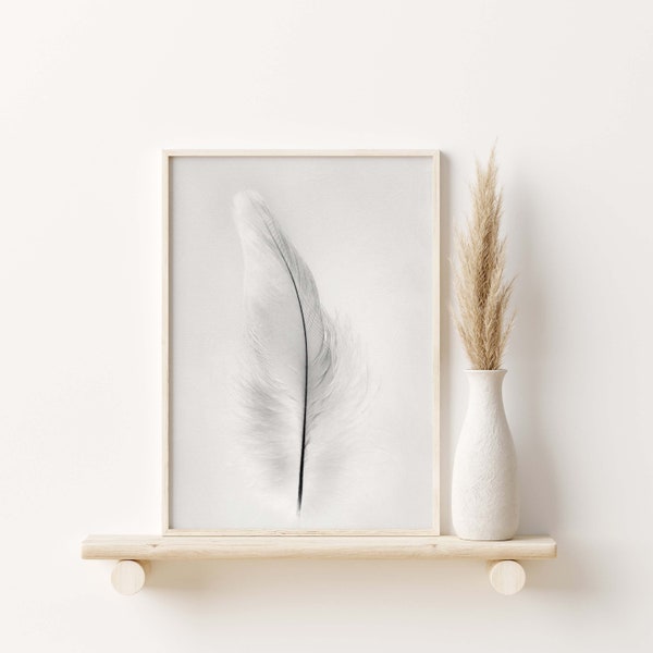 Feather Print | Grey Macaw Parrot Feather Down | Feather Wall Art  | Digital Download | Black and White Photo | Feather Art | Minimalist Art