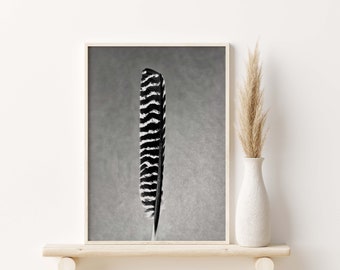Feather Print | Wild Turkey Feather | Feather Wall Art  | Digital Download| Black and White | Black and White Feather | Feather Art