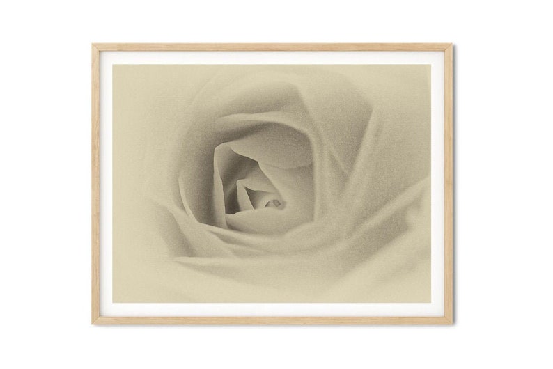 Gicl\u00e9e Fine Art Print Sepia Rose Sepia Floral Wall Art Sepia Rose Print Yellow Rose Antique Style Sepia Rose Rose