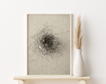 Feather Print Boho | Birds Nest with Feather #10 in Sepia | Digital | Farmhouse | Minimalist | Rustic | Bird Nest Art | Feather Art Print