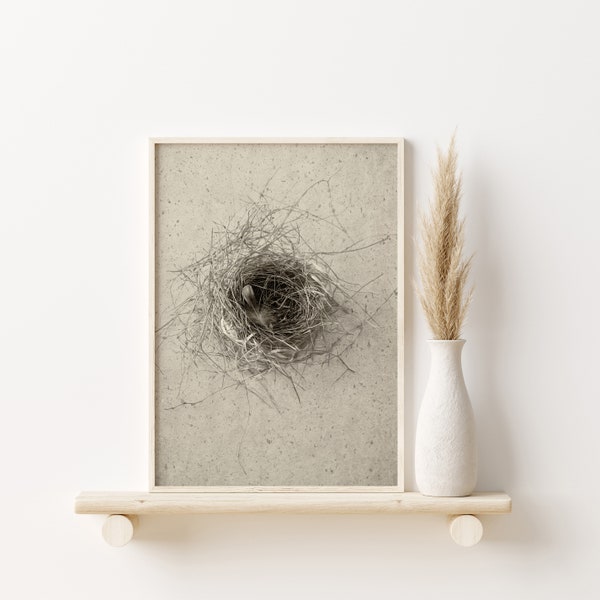 Feather Print Boho | Birds Nest with Feather #10 in Sepia | Digital | Farmhouse | Minimalist | Rustic | Bird Nest Art | Feather Art Print