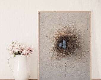 Minimalist Ravens Egg in Bird Nest Print | Farmhouse Chic Wall Art | Kitchen Wall Art | Country Cottage Chic Art Print | Cottage Art Print