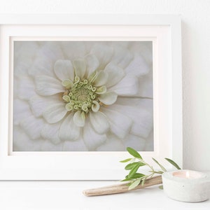 Floral blanco / Arte de pared de Zinnia nupcial blanca / Descarga digital / Zinnia blanca / Arte de pared de flores blancas / Flor blanca / Abstracto