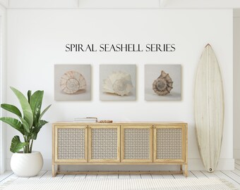 Beach Wall Art | Minimalist Seashell Spiral Series Set of 3 in Color | Seashell Prints | Beach Decor | Seashell Print Set | Seashell Art